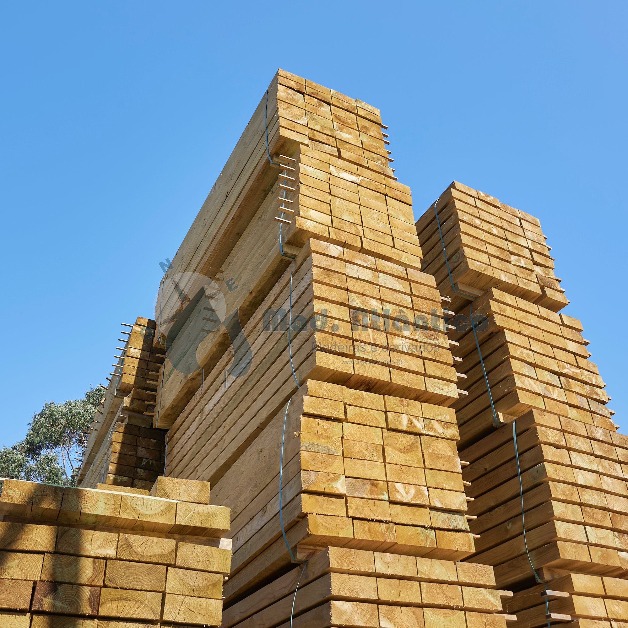 Sulipa Tratada Ecologica 26 x 13cm