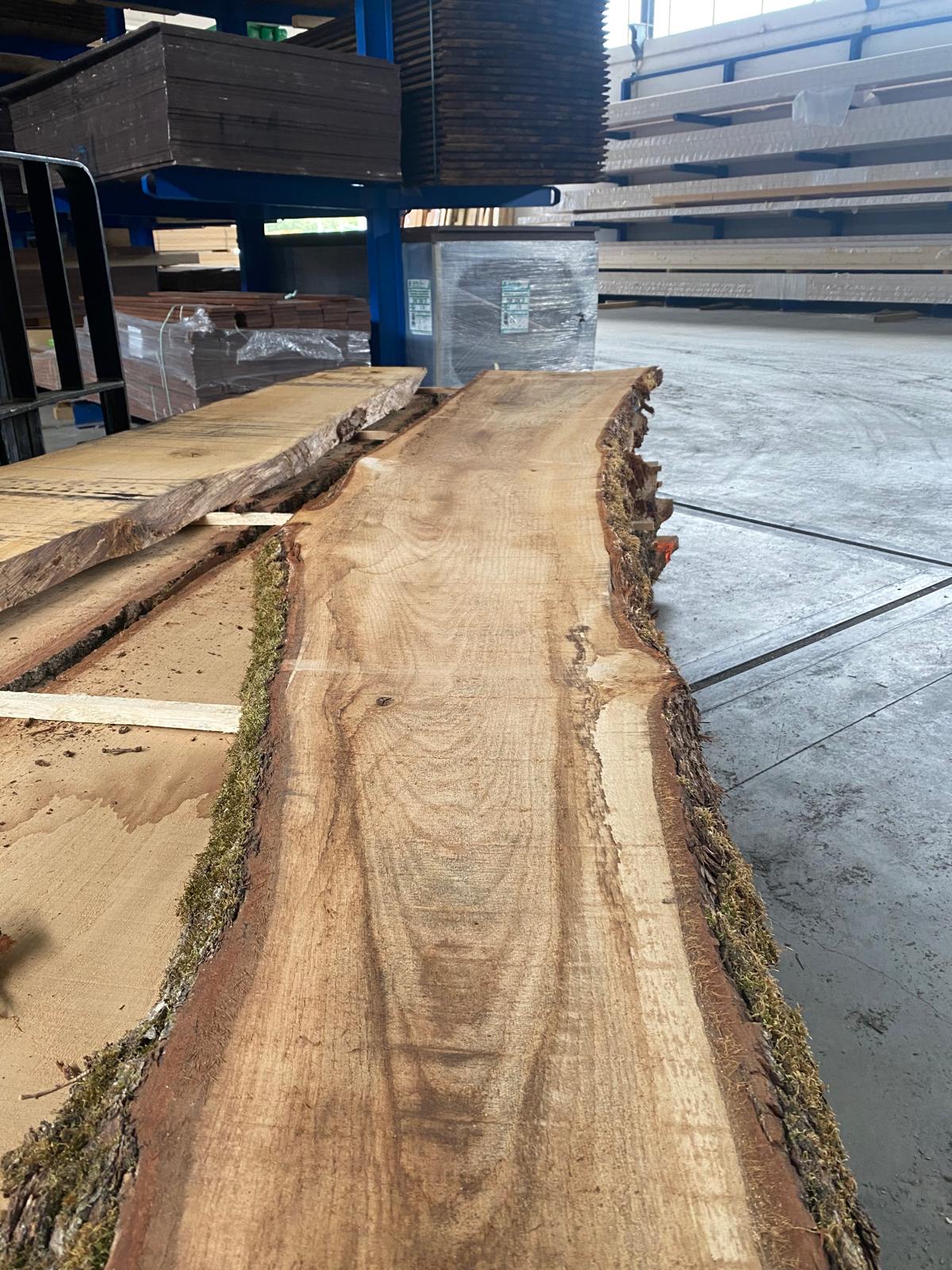 Pranchas de Carvalho Origem Suécia 