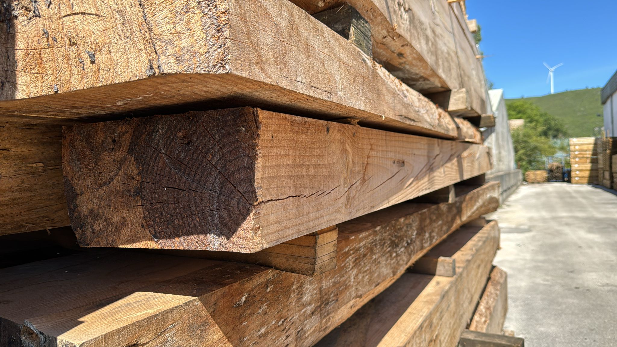 Chaços de Pinho - Peças Generosas