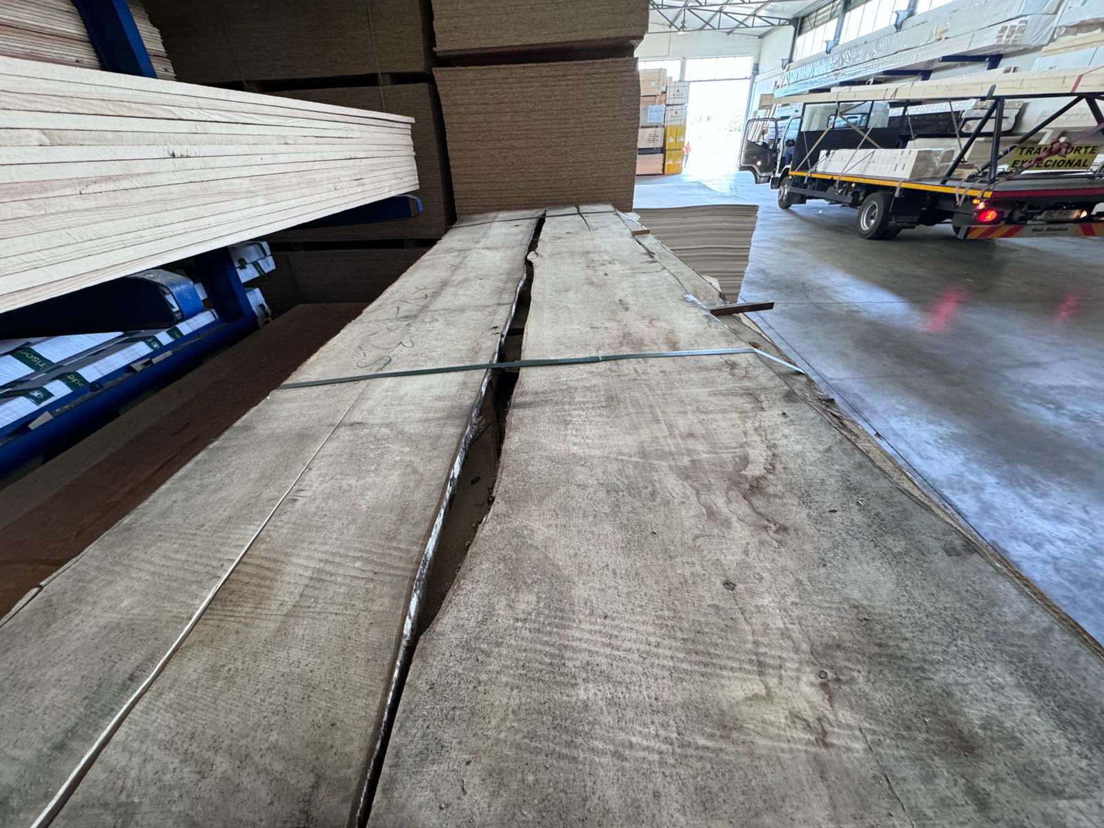 Pranchas de Sicomoro Origem Turquia